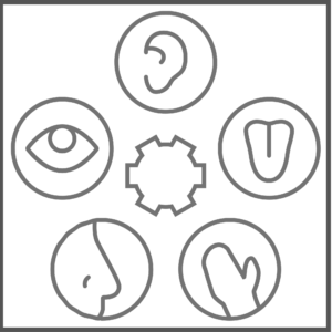 Occupational Therapy