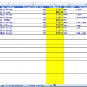 Mental Health Practice Bookkeeping Spreadsheet | Therapist Excel Template | Private Practice Finance Tracker | Insurance Claims, Client Billing, Tax Deductions