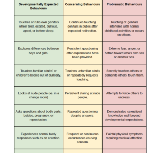 A Guide to Typical, Concerning, and Problematic Sexual Behaviours in Childhood.